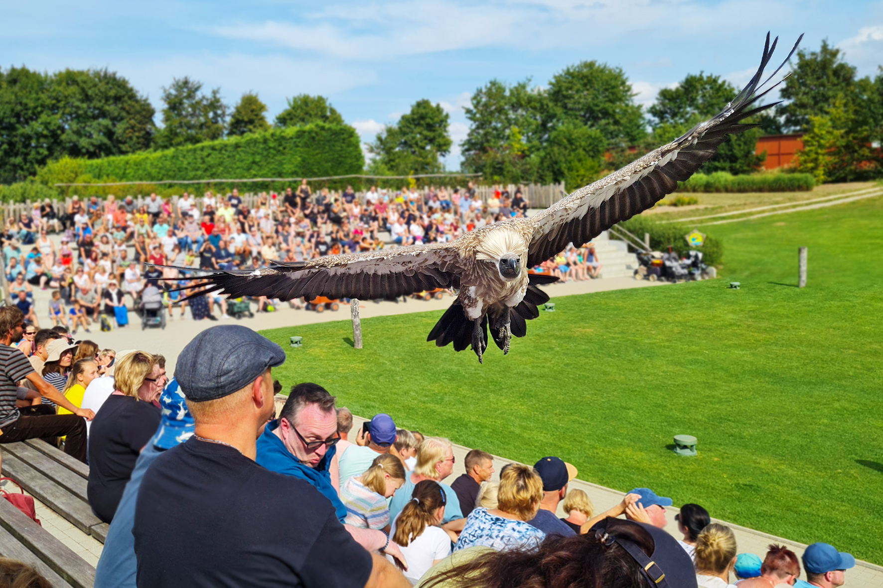 Eintritt in den Vogelpark Marlow